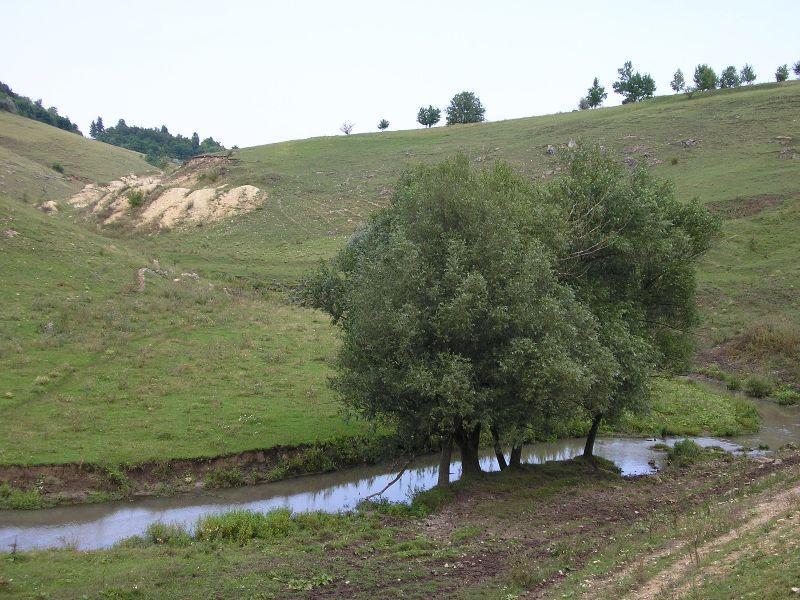 Пейзаж