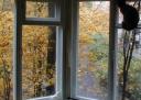 Питерская осень - окно