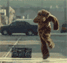 Прикрепленное изображение: monthly_03_2008/post-8354-1206898075.gif