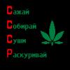 Прикрепленное изображение: ____.gif