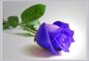 Прикрепленное изображение: Rosy_frame_of_mind_Indigo.jpg