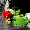 Прикрепленное изображение: post-8354-1180424118.gif